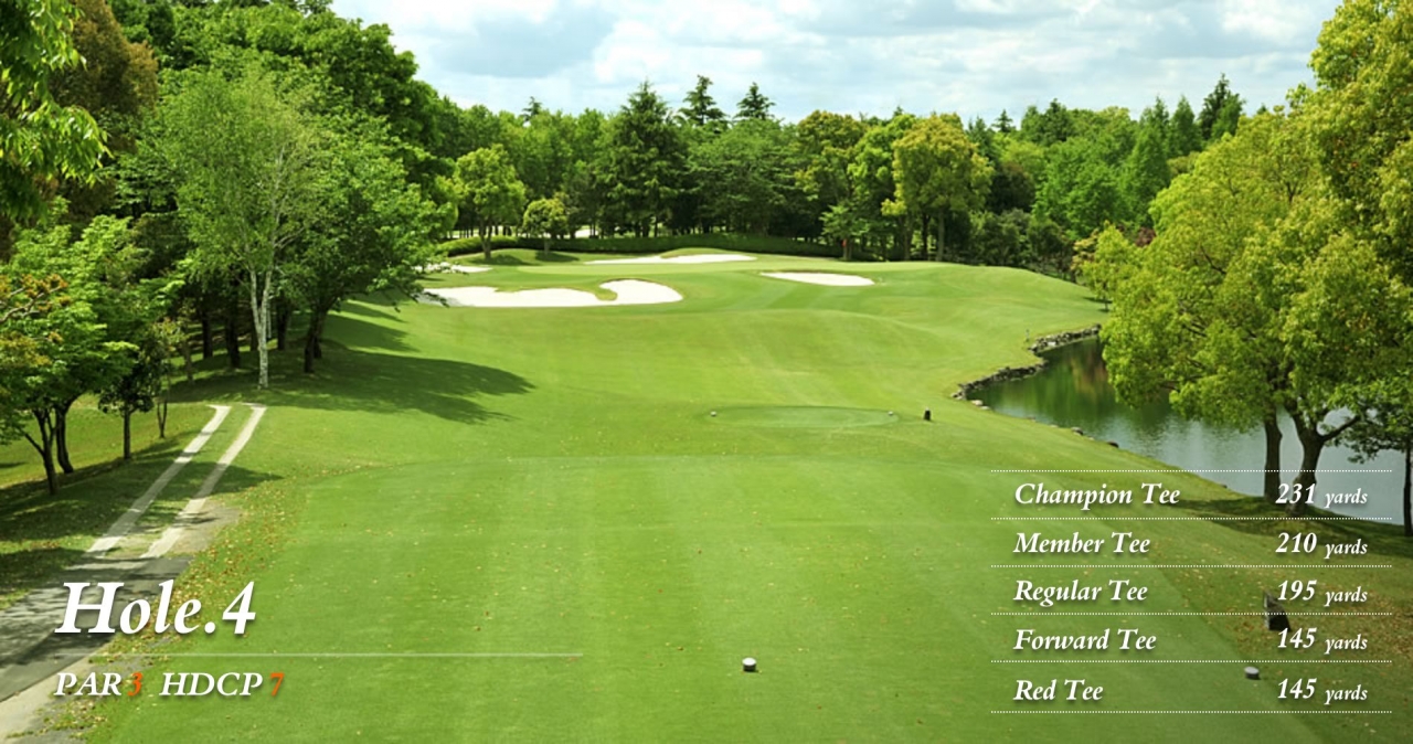 hole4