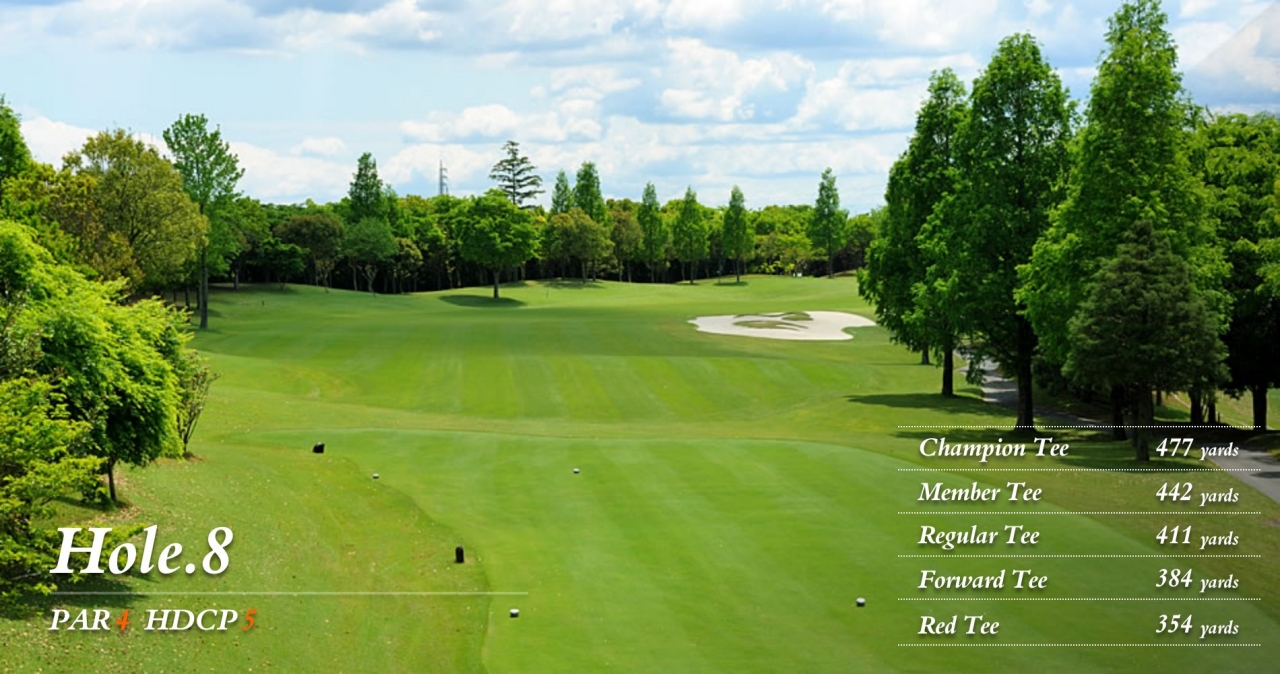 hole8