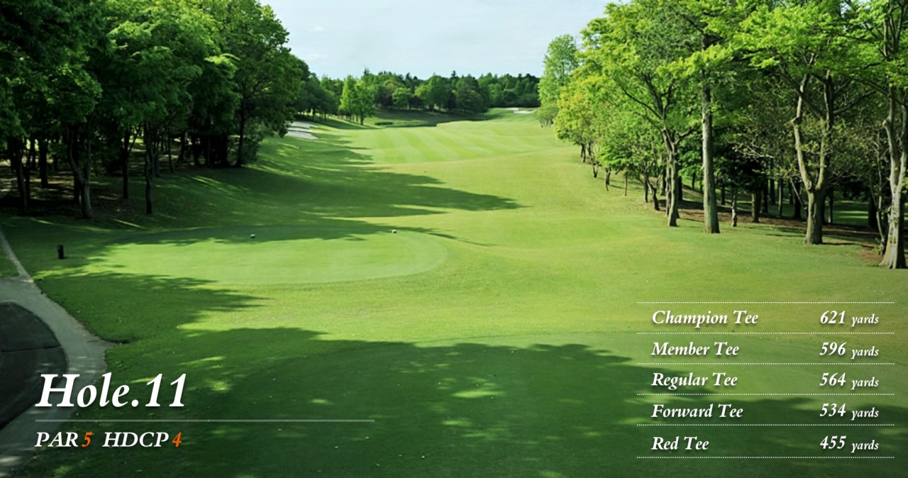 hole11
