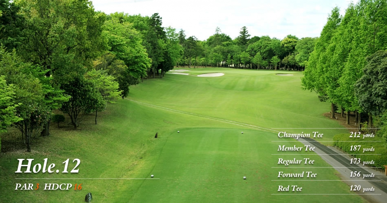 hole12