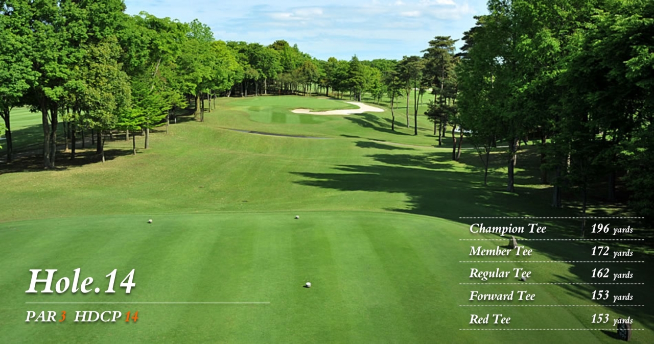 hole14