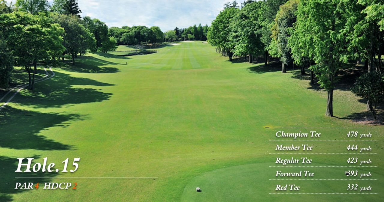 hole15